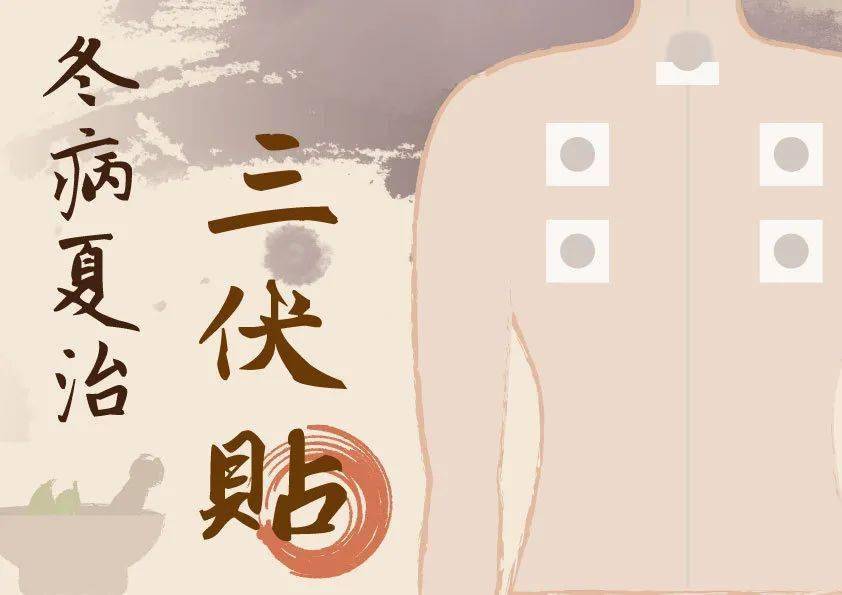 【詳解】什么是三伏貼？三伏貼的功效與注意事項！